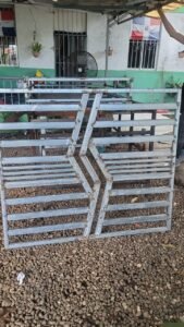 whatsapp image 2026 02 06 at 6.13.37 pm00